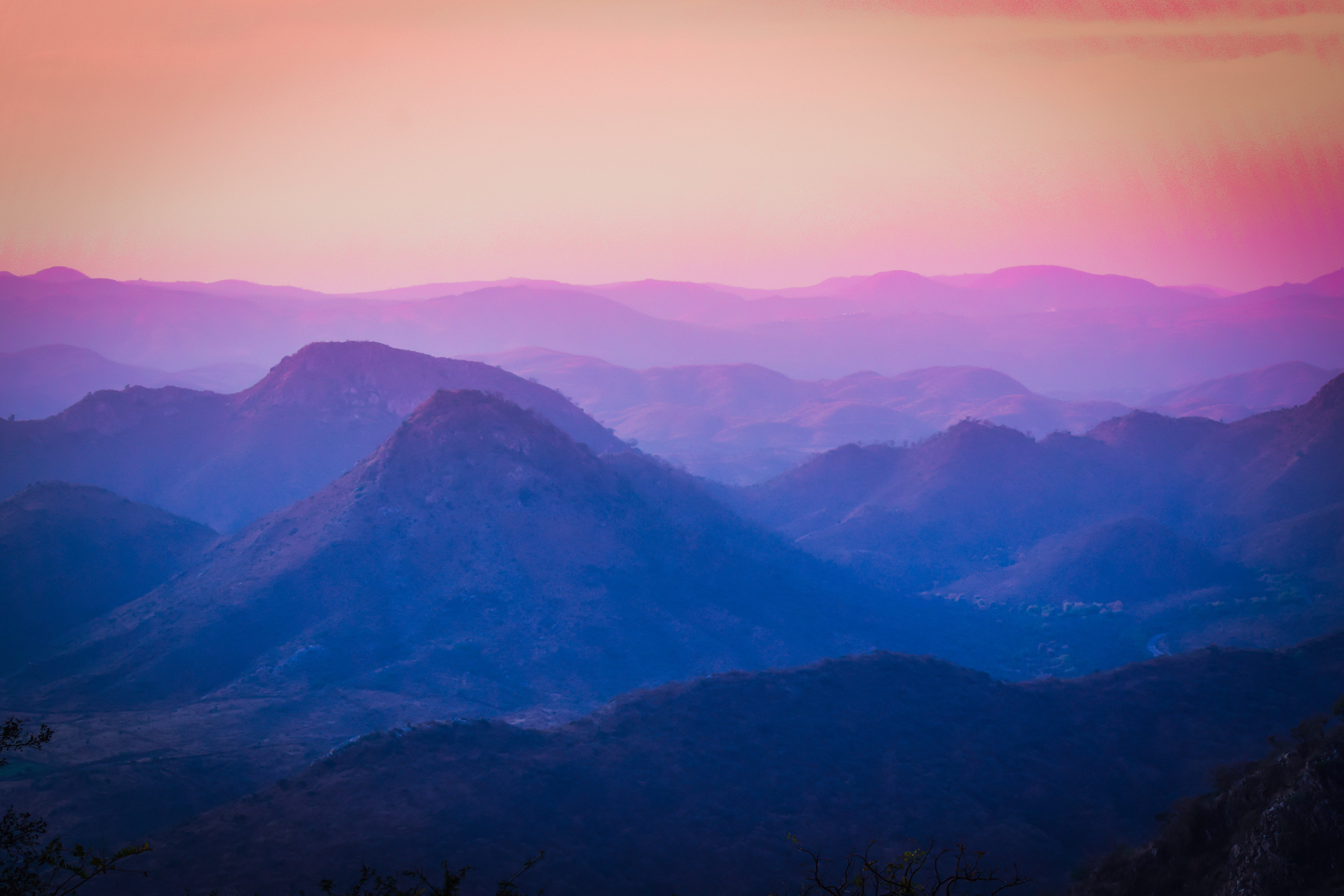 Photo by Suket Dedhia from Pexels