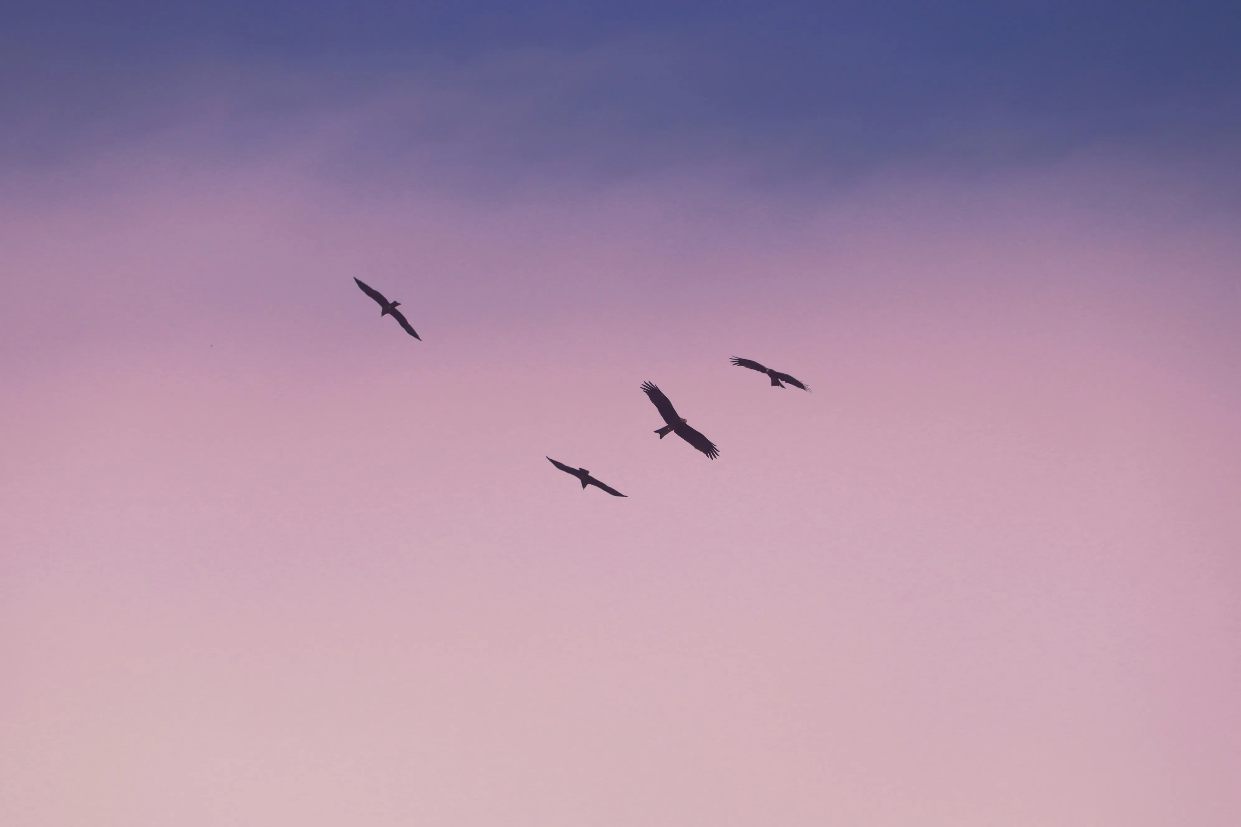 Photo by Saurav Mahto on Unsplash